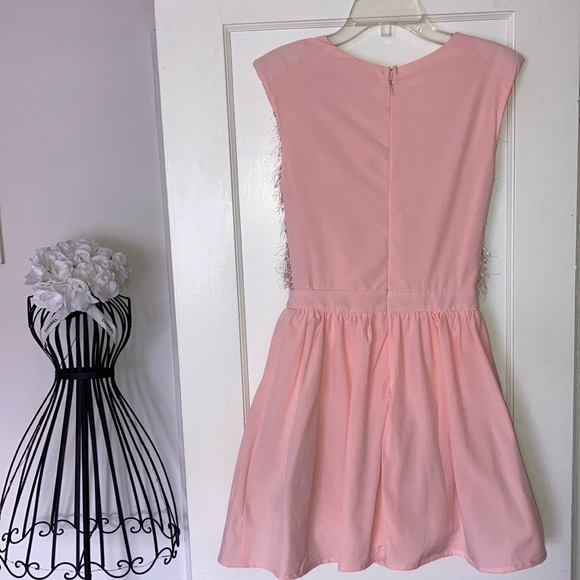 JUST DROPPED #75 Pretty In Pink Fringe Bodice Fit & Flare Skater Dress S M L - Picture 9 of 9
